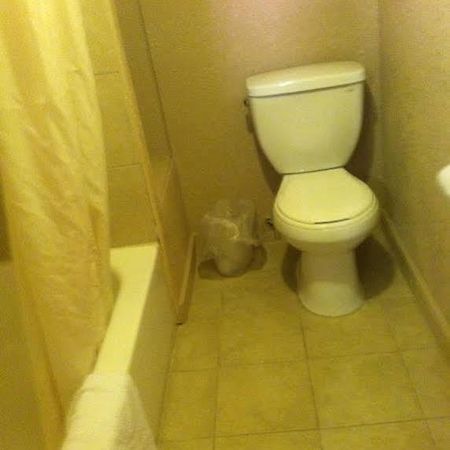 White Mountain Motel Springerville Екстериор снимка